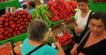 Stire din Social : Târg de toamnă, în Portul Turistic, la Mangalia