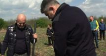 Stire din Politică-Administrație : Marcel Ciolacu pune umărul la împădurit: Liderul PSD a trecut de la costum, la sapă