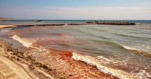Stire din Actualitate : Fenomen rar pe litoral: Marea Neagră a devenit roşie. Explicaţiile biologilor