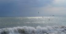 Stire din Social : Mare Nostrum. Doi la sută pentru Recifele din Marea Neagră
