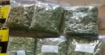 Stire din Eveniment : Percheziții în Timiș, în dosarul crimei de la Cenei. Au fost confiscate cantități mari de canabis și cristal