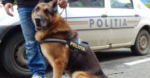 Stire din Eveniment : Doi mascați, prinși de un câine polițist în timp ce își dădeau foc la haine ca să scape de probe