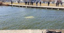 Stire din Eveniment : Au plonjat cu mașina în lacul Tăbăcărie! Două victime, transferate cu elicopterul la spital