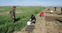 Stire din Economie : Măsuri de sprijin pentru producătorii de fructe și legume