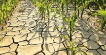 Stire din Economie : Măsuri pentru combaterea efectelor schimbărilor climatice