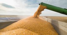 Acordul privind exportul de cereale ucrainene a expirat