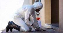 Stire din Politică-Administrație : Administraţia locală din Medgidia desfăşoară încă o acţiune de dezinsecţie în municipiu