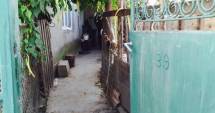 Stire din Eveniment : Descoperire macabră, la Medgidia