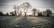 Stire din Social : Temperaturi de primăvară în weekend-ul care urmează. Maxime de până la 20 de grade