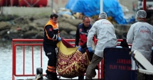 Stire din Actualitate : Descoperire macabră. Migranți morți, într-un tren care aducea camioane din Italia