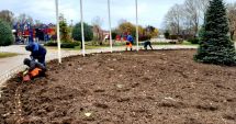 Stire din Social : Mii de bulbi de lalele, plantaţi în Ţara Piticilor