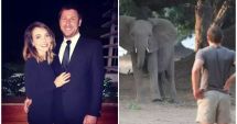 Stire din Actualitate : Milionar de 39 de ani, sfâşiat şi călcat în picioare mortal de elefanţi în propriul safari