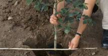Stire din Eveniment : Militarii din șase țări NATO susțin natura, la Constanța