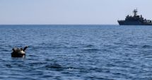 Stire din Actualitate : Forțele Navale Române, în alertă din cauza minelor din Marea Neagră