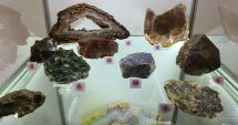 Stire din Cultură-Educație : Expoziție de minerale, la Muzeul de Istorie Constanța