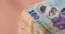Stire din Economie : Ministerul Agriculturii nu primește banii pe care îi aștepta la rectificare