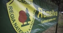 Stire din Actualitate : Ministrul Mediului: “Romsilva are nevoie de oameni care să facă muncă pe teren, nu de 90 de directori”