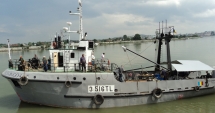 Stire din Economie : Uluitor! Ministrul Agriculturii susține că avem o flotă națională de pescuit pe mare
