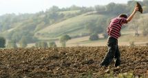 Stire din Social : Stop exploatării prin muncă a minorilor!