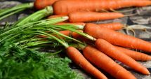 Fibrele din morcovi contribuie la prevenirea constipației