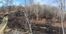 Stire din Eveniment : Un bărbat de 78 de ani a murit în urma unui incendiu de vegetaţie. Poliţiştii au deschis o anchetă