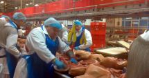 Stire din Economie : Mozaic economic