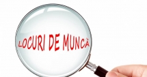 Stire din Social : Mii de locuri de muncă vacante pentru șomeri. Iată ce se caută!