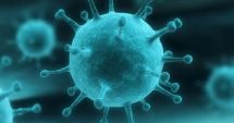 Stire din Actualitate : Explozie de gaze într-un laborator unde se aflau virusuri periculoase de la pojar și până la Ebola