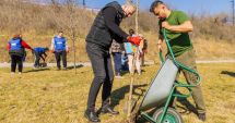 Stire din Politică-Administrație : Primăria Năvodari a contribuit la plantarea a peste 7.000 de arbori în localitate