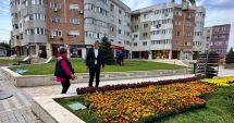 Stire din Politică-Administrație : Primăria Năvodari plantează flori în localitate. „Nu putem neglija aspectul oraşului”