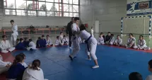 Stire din Sport : Regal de judo la Năvodari. Peste 150 de participanți din patru țări