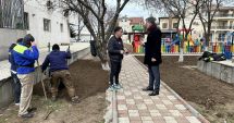 Stire din Politică-Administrație : Primăria Năvodari amenajează spaţiile verzi din localitate