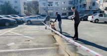 Stire din Politică-Administrație : Administraţia locală din Năvodari montează platforme subterane de gunoi