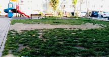 Stire din Politică-Administrație : Primăria Năvodari continuă să amenajeze spaţiile verzi şi locurile de joacă