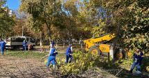 Stire din Politică-Administrație : Administraţia locală din Năvodari continuă lucrările de igienizare în oraş