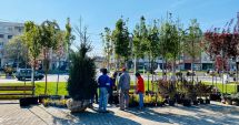 Stire din Politică-Administrație : Primăria Năvodari plantează arbori în oraş. Asociaţiile de locatari, obligate să îi îngrijească