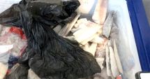 Stire din Social : Nereguli grave! De patru ori mai multe unități alimentare închise de OPC, vara aceasta, față de anul trecut