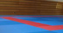 Stire din Sport : Nici LPS, nici Szemerjai, nici judo-ul constănțean nu merită mizerii!