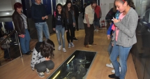 Stire din Cultură-Educație : "Avem nevoie de Noaptea Muzeelor și în sezonul estival!"
