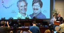 Stire din Actualitate : Descoperirea microARN-ului, recompensată cu premiul Nobel pentru Medicină