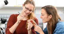 Stire din Cultură-Educație : Suedia şi Irlanda caută studenţi români