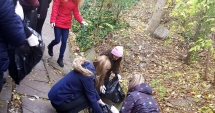 Stire din Cultură-Educație : "Noi putem. Voi?" Elevii Liceului "Nicolae Bălcescu" au ieșit la curățenie în curtea școlii