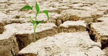 Stire din Economie : Noi termene pentru constatarea suprafețelor afectate de seceta pedologică