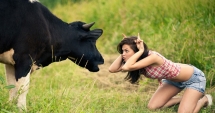 Stire din Fun : Nu lua viața în serios