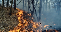 Stire din Eveniment : Numărul incendiilor provocate intenționat în județul Constanța, în creștere