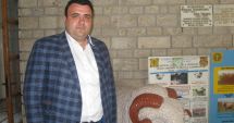Stire din Economie : Oaia românească se vinde bine pe piața arabă, dar visează să ajungă în Occident