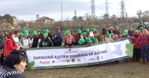 Stire din Social : Oază de verdeață la Eforie Nord. Voluntarii au plantat 5.000 de puieți