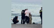 Stire din Eveniment : UPDATE ISU: A fost găsit un booster de rachetă, pe plaja dintre stațiunile Venus și Neptun