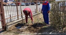 Stire din Social : Asociaţia VOT a obţinut sponsorizarea pentru proiectul "E uşor de învăţat, într-un mediu oxigenat"