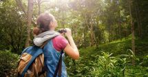 Stire din Social : O nouă strategie pentru dezvoltarea ecoturismului din țara noastră